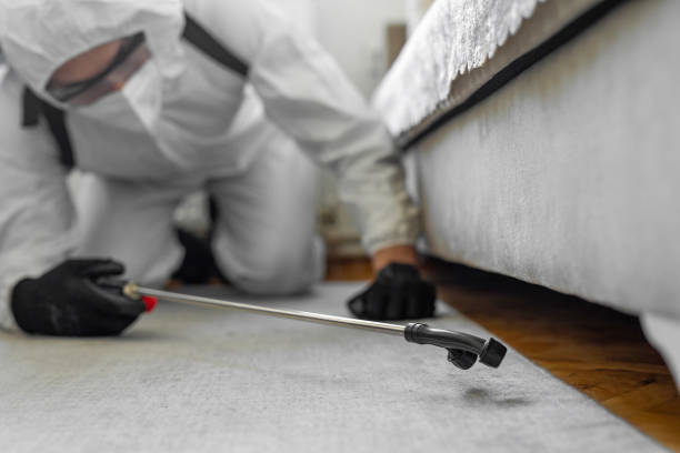 Professional Bed Bug Control technician working in South Bound Brook, NJ