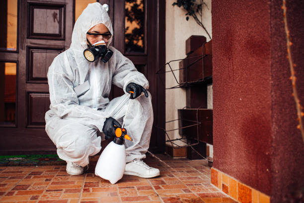 Reliable Bed Bug Control contractor in South Bound Brook, NJ by Nex Pest Control